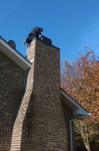 chimney-sweep-cleaner-knoxville-tn